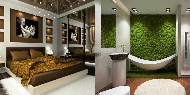 Функция — красота