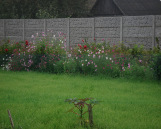 Еврозаборы